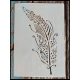 Toll mintás  vintage rétegző festő  sablon 26x17cm-es DIY stencil