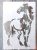 Lovas DIY sablon 26x17cm-es műanyag festő  stencil