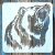30x30 cm-es grizzly medve  mintás festő sablon műanyag stencil