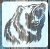 30x30 cm-es grizzly medve mintás festő sablon műanyag stencil