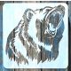 30x30 cm-es grizzly medve mintás festő sablon műanyag stencil