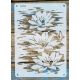 vízi liliom mintás festő sablon 21x30cm-es műanyag DIY stencil