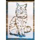 cica, macska stencil 4