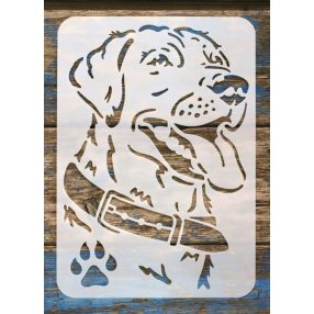  Vizsla kutya fej A4 21x30cm  stencil sablon
