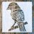 madár mintás 15x15-cm- es festő sablon DIY stencil