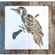 madár, 15x15-cm- es festő sablon DIY stencil 
