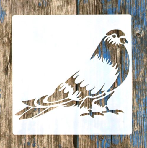 madár, galamb 15x15-cm- es rétegző festő sablon stencil
