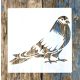 madár, galamb 15x15-cm- es rétegző festő sablon 