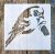madár,  15x15-cm- es  festő sablon stencil 