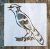 madár 15x15-cm- es festő sablon DIY műanyag stencil 