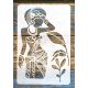 Afrika mintás rétegző festő sablon  20x30cm-DIY műanyag stencil