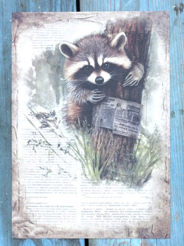 Természet témájú papír háttérkép 15x21 cm,  A5 méret
